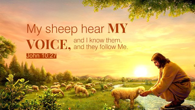 good shepherd sunday
